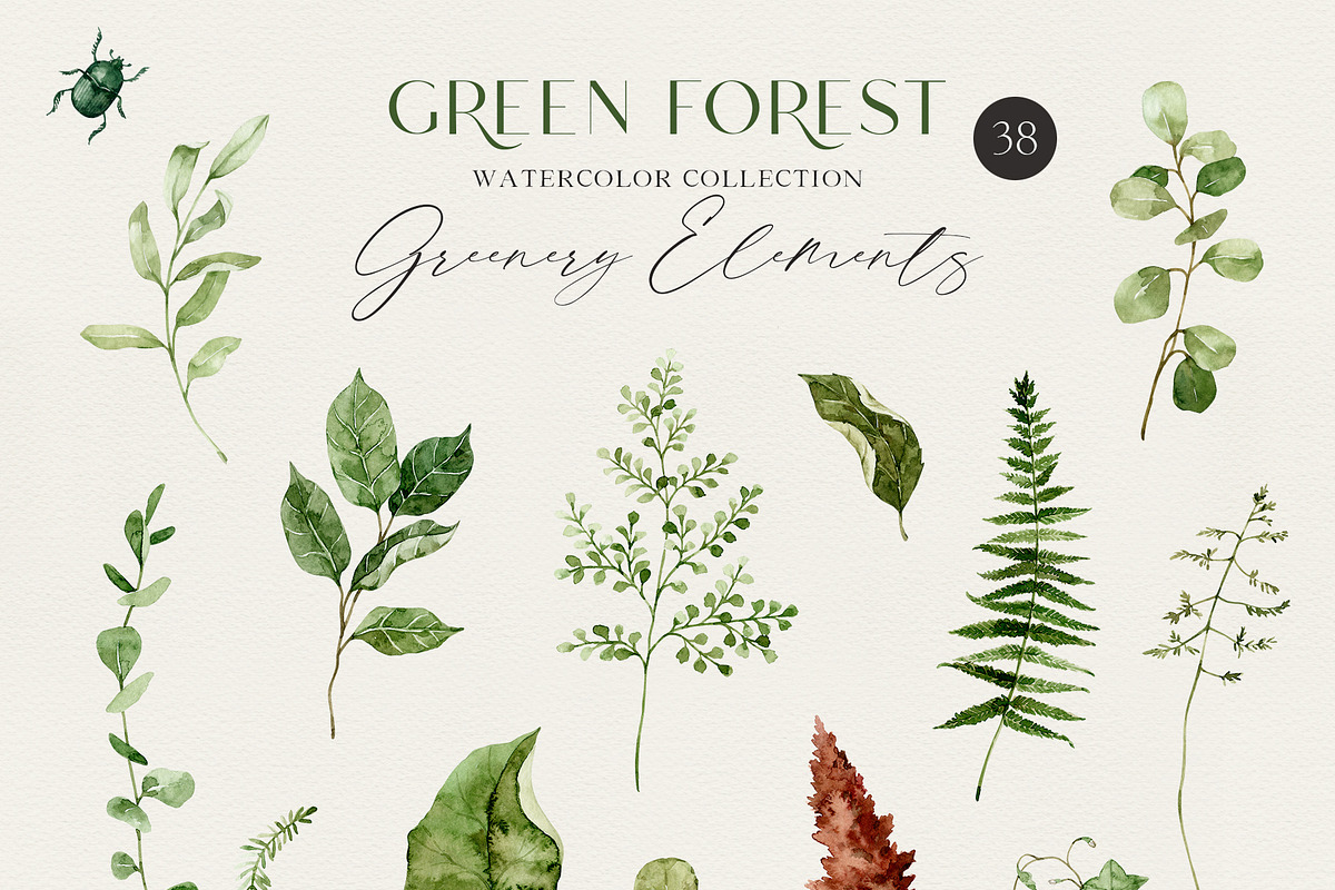 GREEN FOREST watercolor collection, an Object Illustration by long summer (Photo 14 of 17)