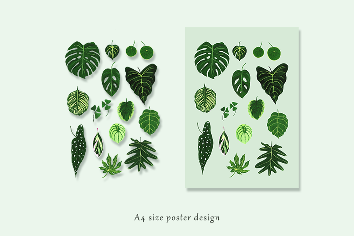 Tropical Leaves Drawing Set, a Decorative Illustration by elpple (Photo 4 of 6)