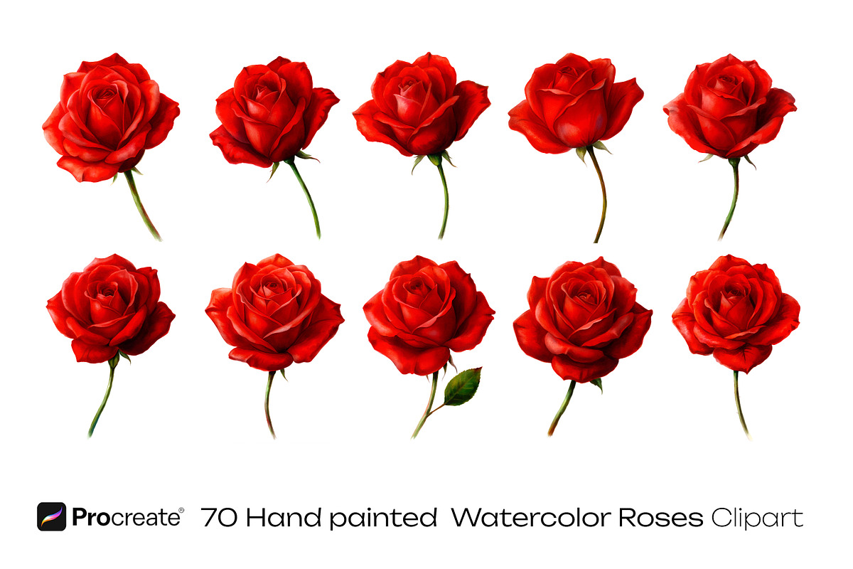 Scarlet Red Roses Wedding watercolor, a Decorative Illustration by crafty (Photo 10 of 11)