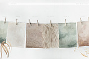 Modern Oasis Watercolor Collection, an Animal Illustration by Julia Dreams (Thumbnail 5 of 10)