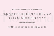 Hookana, a Script Font by Flawless And Co (Thumbnail 11 of 12)