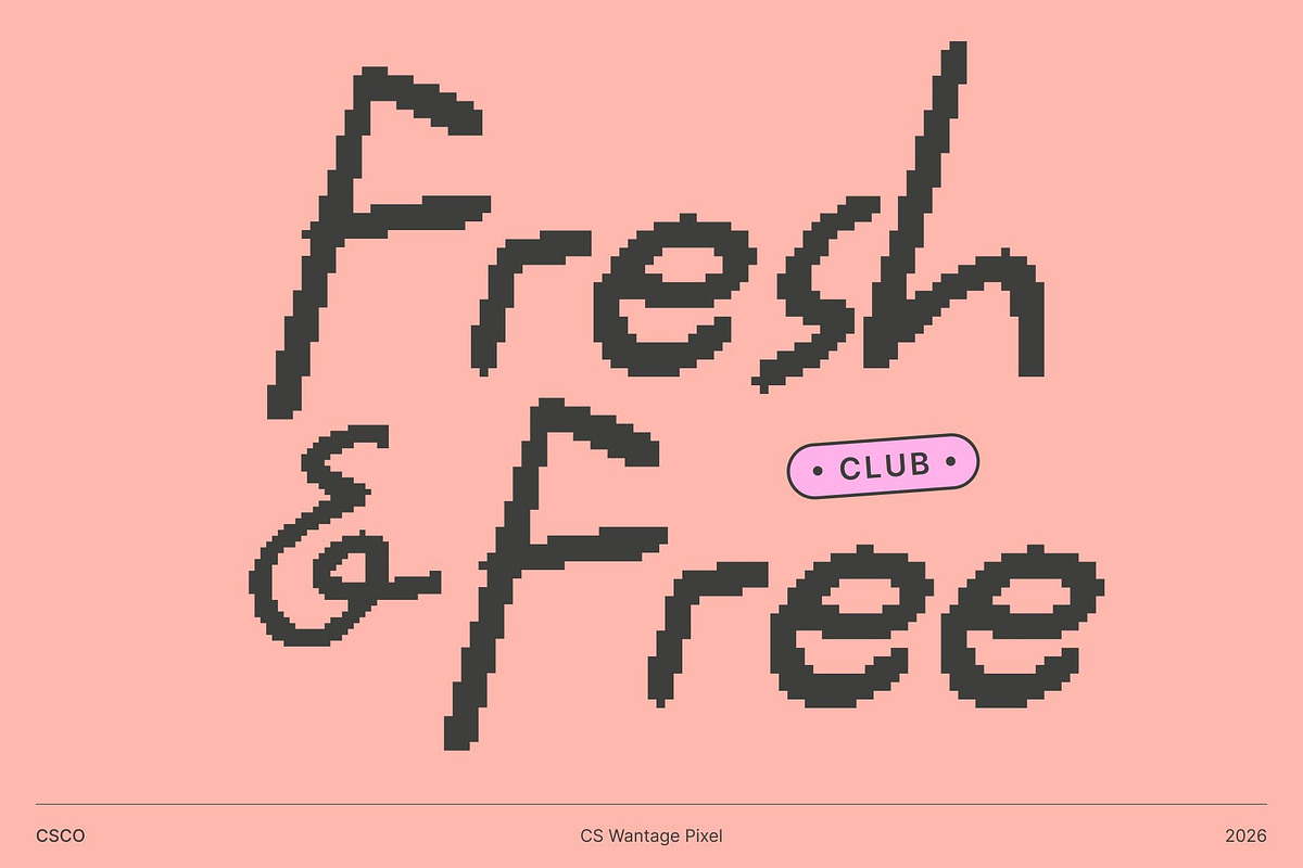 CS Wantage Pixel, a Handwritten Font by Craft Supply Co. (Photo 5 of 8)