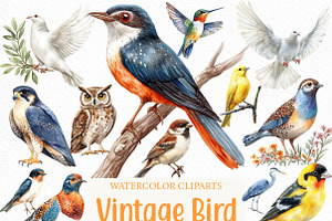 Watercolor Vintage Bird Clipart, an Illustration by Craft Nest