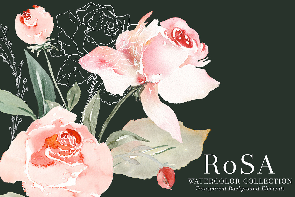 RoSA - Floral Clipart, an Illustration by The Autumn Rabbit Ltd (Photo 11 of 14)