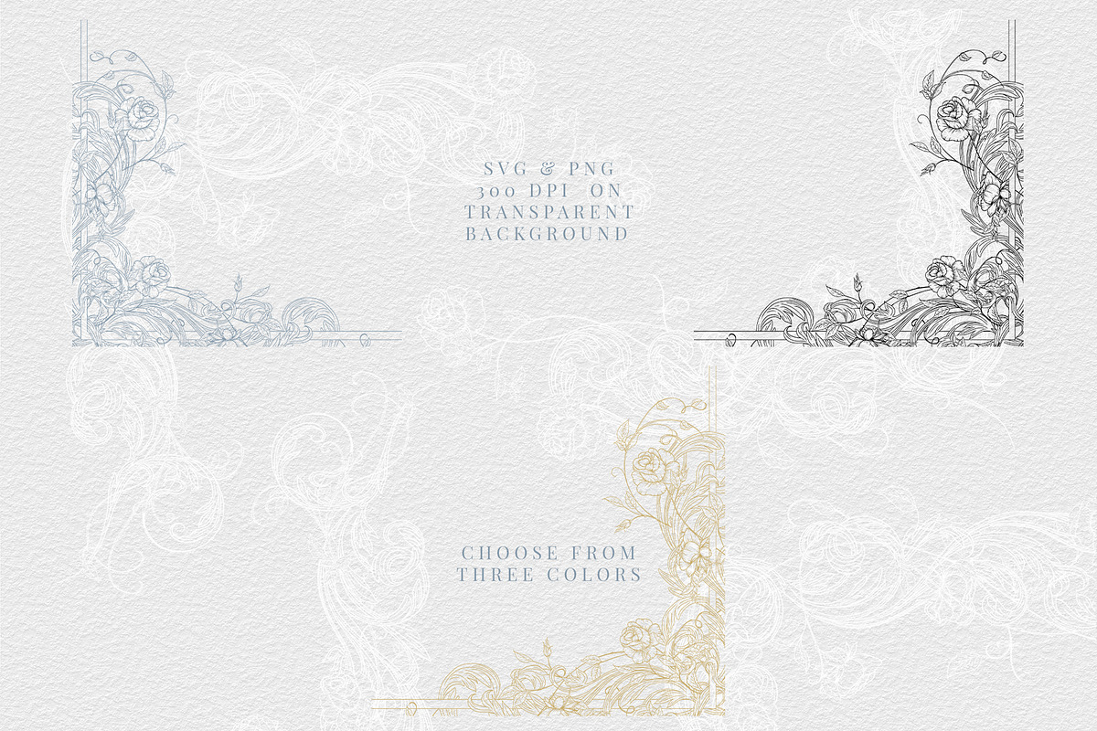 Elegant Rose Collection Vol 1, a Decorative Illustration by AW Studios (Photo 3 of 10)
