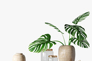 decorative set 02, an Object 3D Model by 3dcruz (Thumbnail 4 of 7)