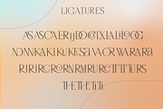 Rotterburg Stylish Display Font, a Serif Font by Typetemp Studio (Thumbnail 19 of 20)