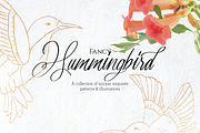 Fancy Hummingbird Collection, a Texture Illustration by DesignsByMissM (Thumbnail 1 of 4)
