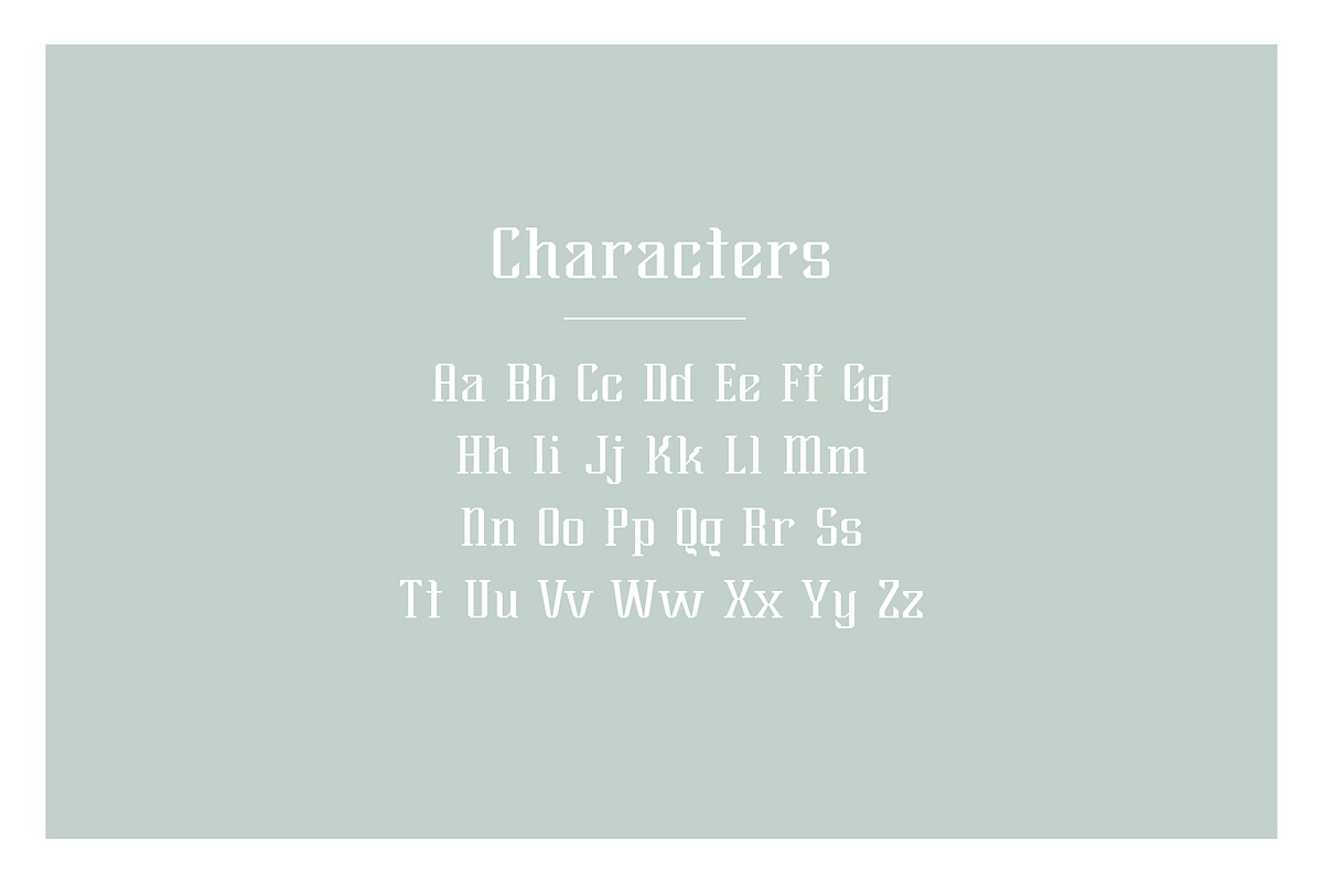 Brylan Typeface, a Serif Font by ANDR35 (Photo 4 of 8)