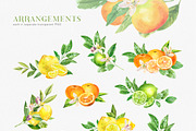 Citrusy Fruits watercolor collection, a Decorative Illustration by Volha Studio (Thumbnail 6 of 10)