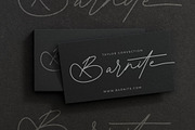 Antique Prestig Stylish Signature, a Script Font by stylishtype.co (Thumbnail 8 of 20)