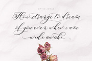 Merylanie Script, a Script Font by JamalCreativeStudio (Thumbnail 5 of 8)