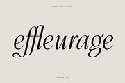Aveline, Soft Serif with Ligatures, a Serif Font by CarmineType (Thumbnail 4 of 28)