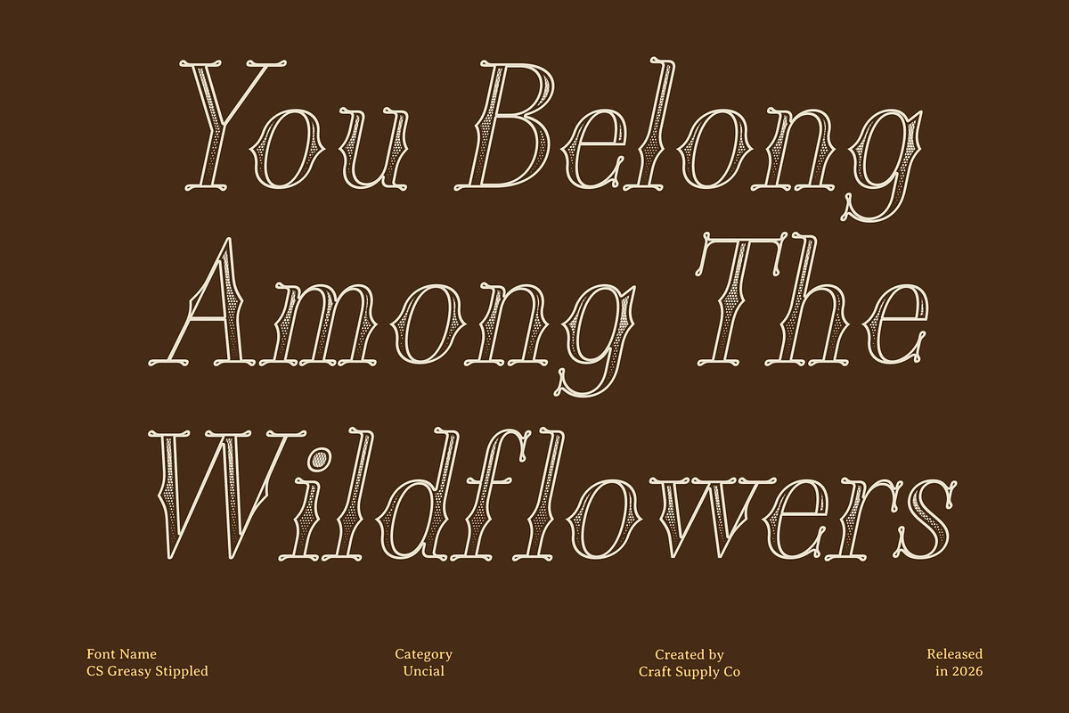 CS Greasy Stippled, a Serif Font by Craft Supply Co. (Photo 4 of 8)