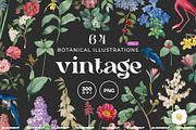 Vintage Botanical Illustrations, an Object Illustration by likorbut (Thumbnail 1 of 8)