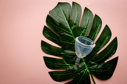 Menstrual cup on pink featuring hygiene, gynecological, and female, a Health & Medical Photo by piter.goskov
