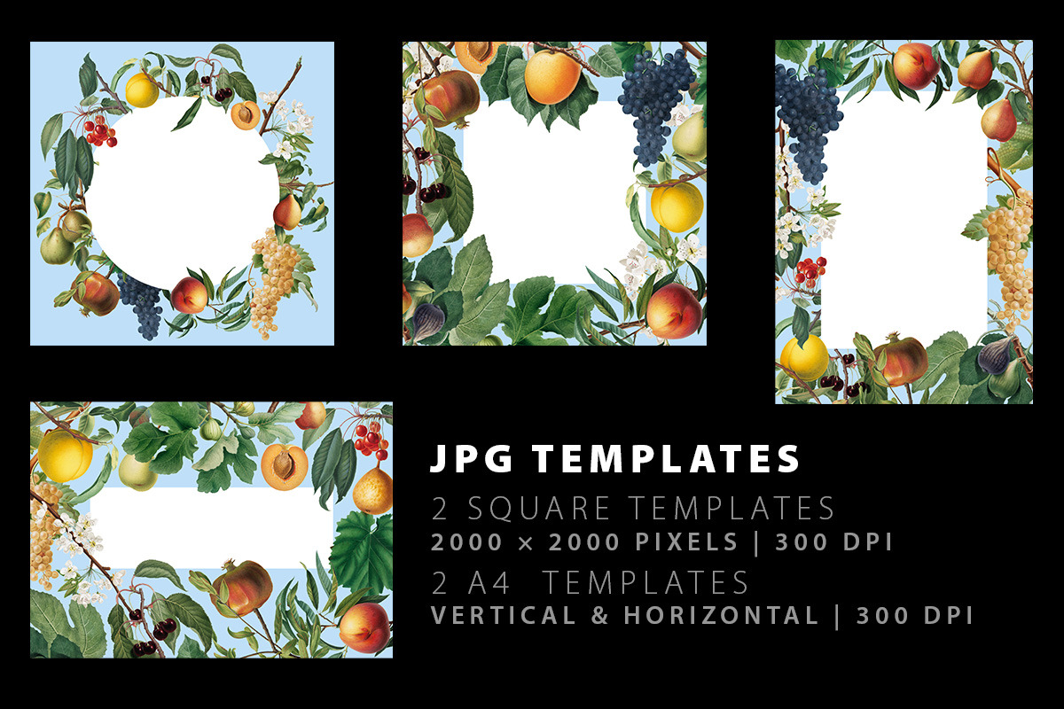 Fruit illustrations pack 1, a Food Illustration by Padrinan (Photo 4 of 5)