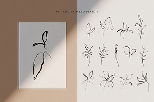 Abstract Botanical Illustrations