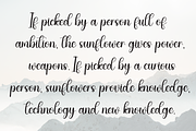 Something | Script Font, a Handwritten Font by Scratchones (Thumbnail 6 of 9)