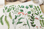 28 Watercolor Branches and Leaves, an Illustration by Helga Wigandt (Thumbnail 3 of 3)