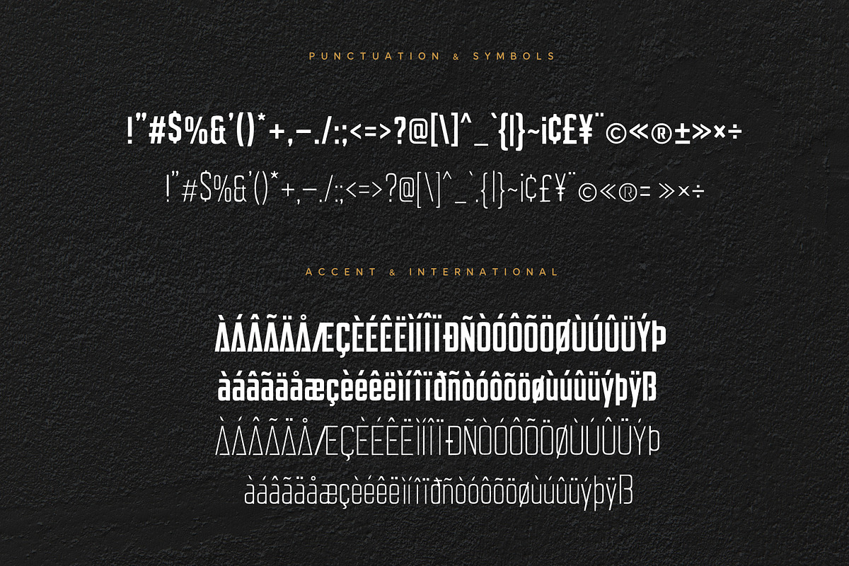 ALFANETA – Modern Branding Typeface, a Sans Serif Font by HypeWorksCo (Photo 13 of 13)