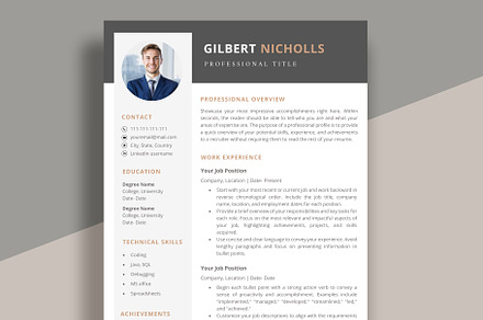 Professional Resume for word