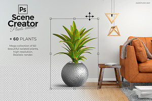 60 PSD Beautiful isolated plants