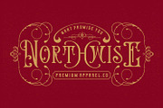 Shockerous - Victorian Vintage Font, a Font by Pollux of Geminorum (Thumbnail 3 of 10)