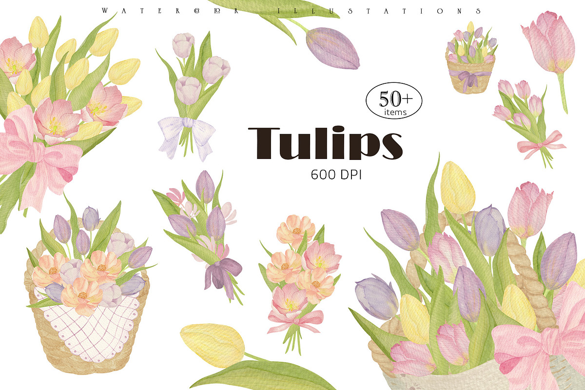 Tulip Watercolor Collection, a Decorative Illustration by Sunshine Art (Photo 1 of 8)