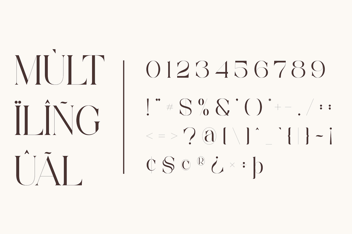 Chalia - Modern Stylish Serif Font, a Serif Font by Aqeel_Art (Photo 12 of 13)