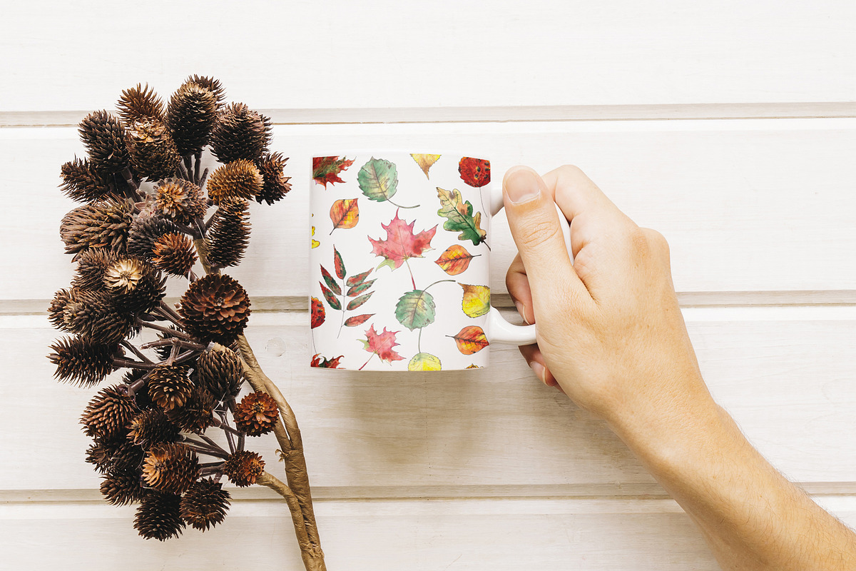 Autumn BUNDLE 8 in 1. Watercolor, an Object Graphic by Ana-Sakuta (Photo 11 of 20)