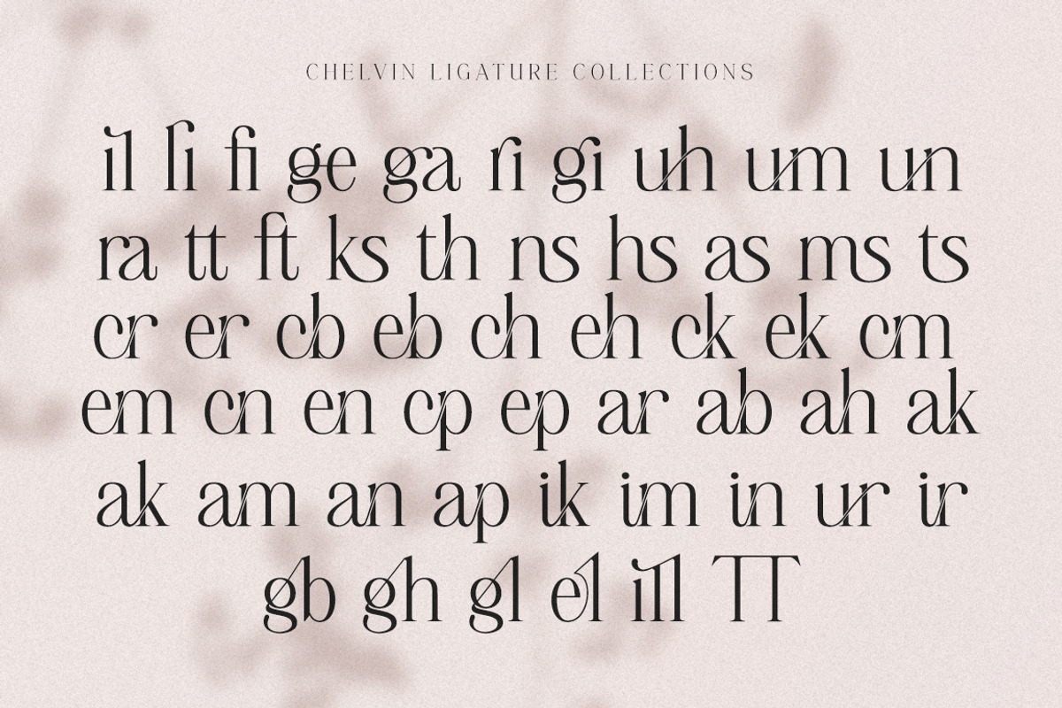 Chelvin Elegant Serif, a Serif Font by Dora Typefoundry (Photo 18 of 20)