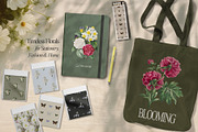 Vintage Botanical Charm Collage Pack, an Object Graphic by lerinartstudio (Thumbnail 3 of 14)