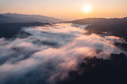 Morning fog and clouds in the hill forest, a Nature Photo by Art Rachen