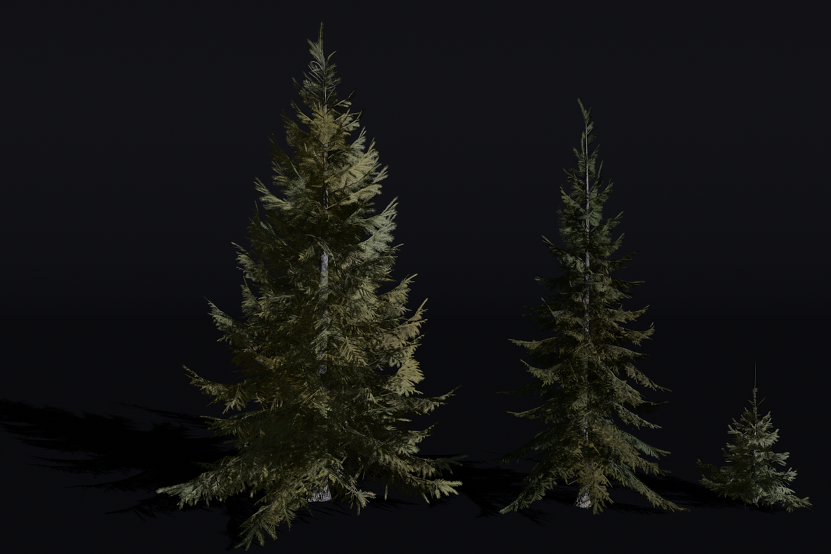 The Siberian Spruce Tree, a Plants & Tree 3D Model by FuturePastCreatives (Photo 5 of 6)