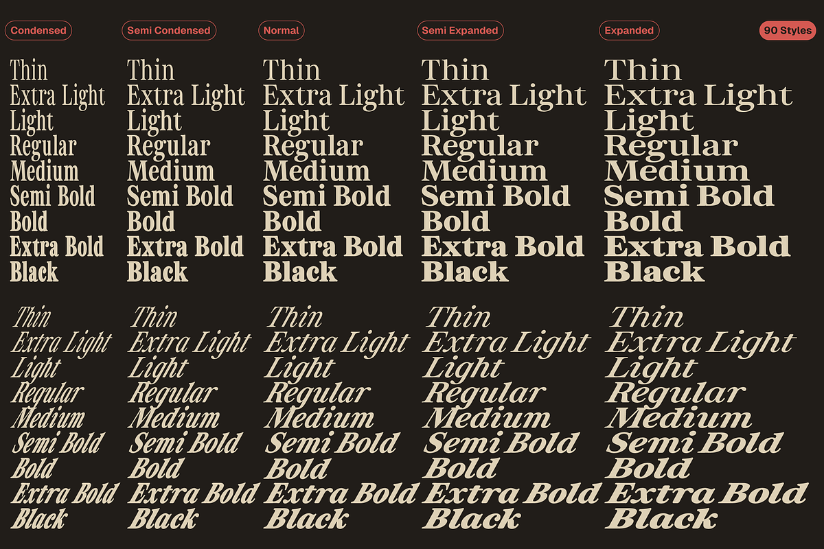 ZT Otez Retro Serif - 90 fonts, a Serif Font by zelow type (Photo 2 of 15)