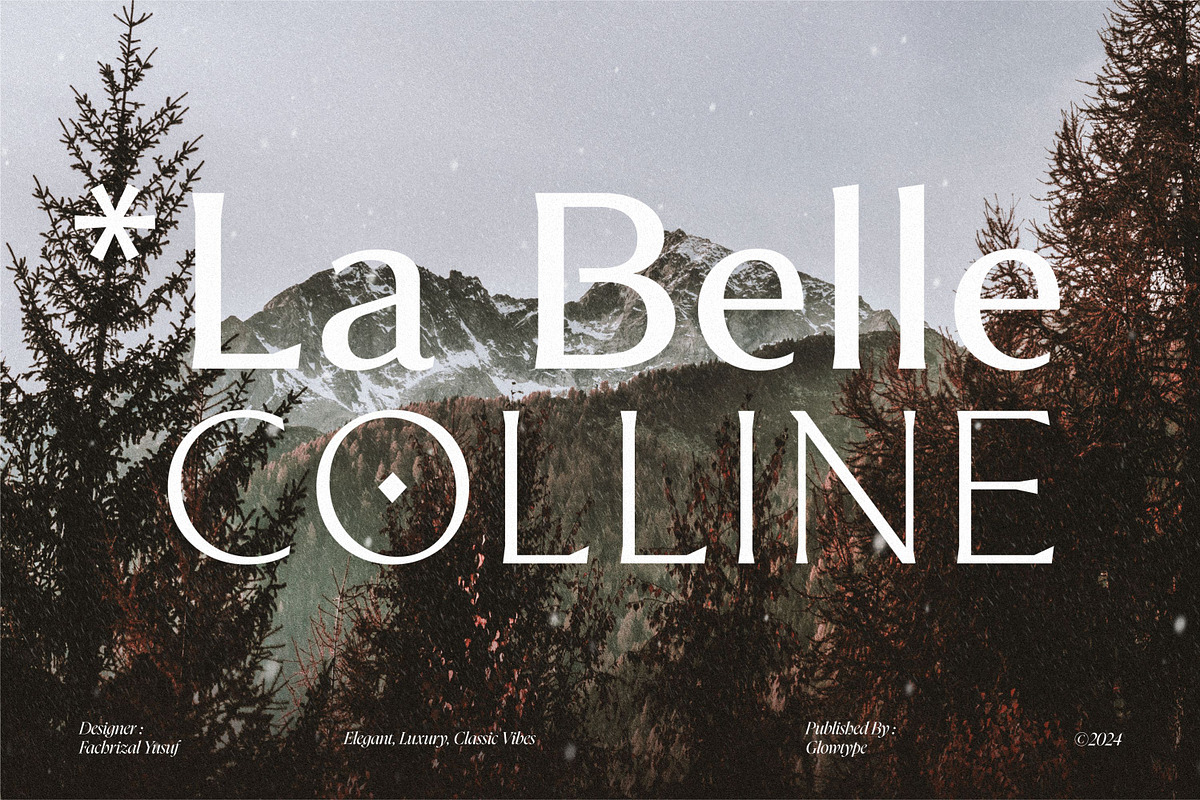 Montier Elegant Display, a Sans Serif Font by Glowtype (Photo 7 of 15)