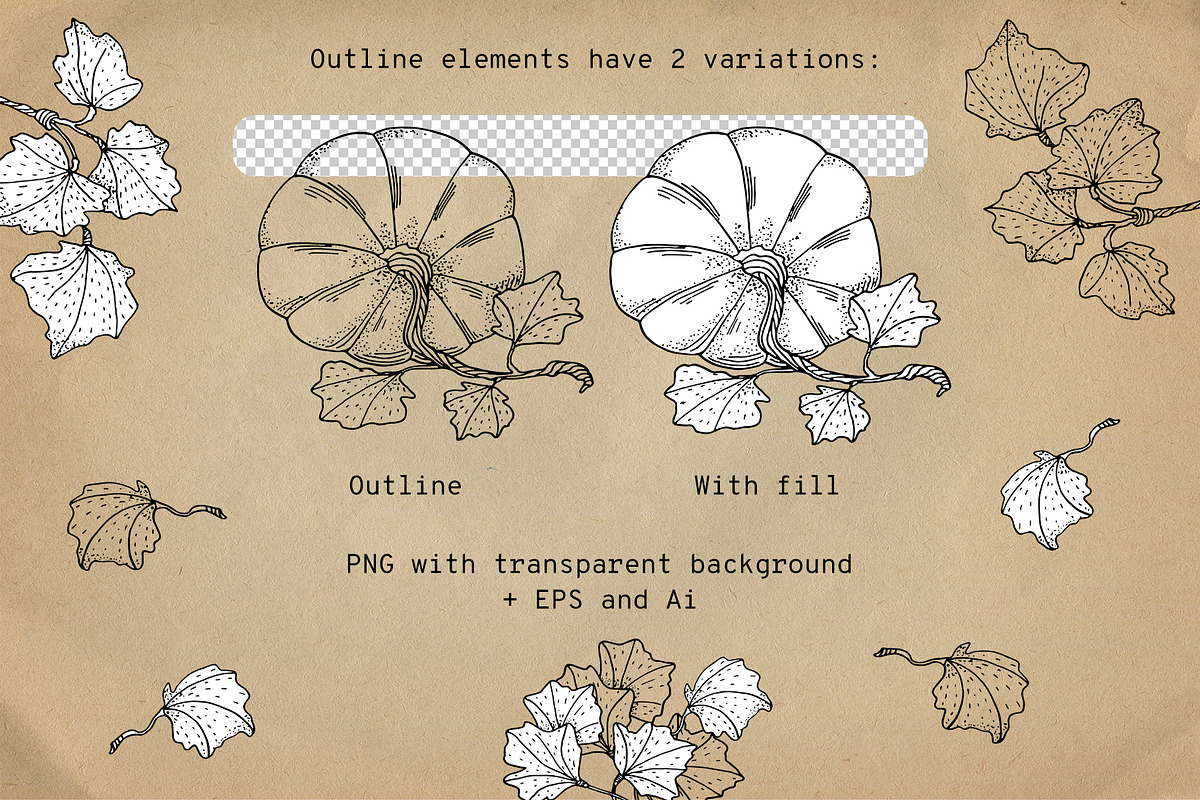 Autumn Pumpkins Hand Drawn Graphics, a Food Illustration by Olya Haifisch (Photo 5 of 9)