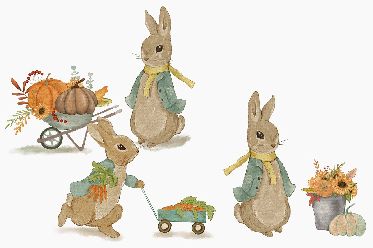 Rabbit Peter autumn bundle