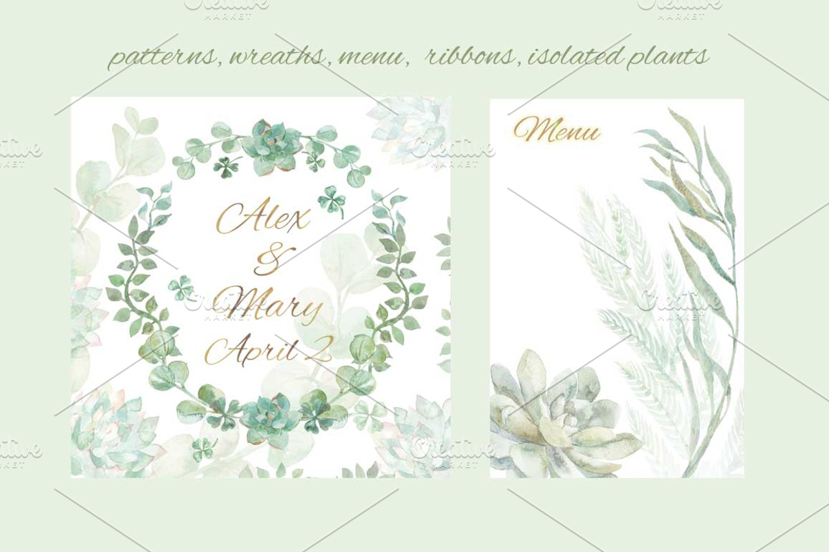 Wedding set of succulents, an Illustration by Elizaveta (Photo 6 of 6)