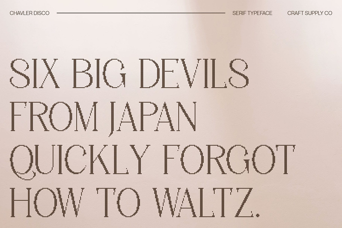 Chavler Disco, a Serif Font by Craft Supply Co. (Photo 5 of 8)
