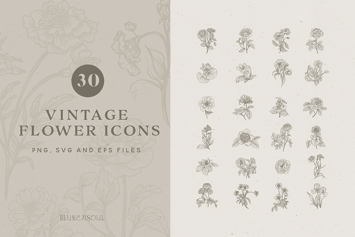 Vintage Flower Icons - Logo Elements, an Illustration by BlumenSoul (Photo 1 of 7)
