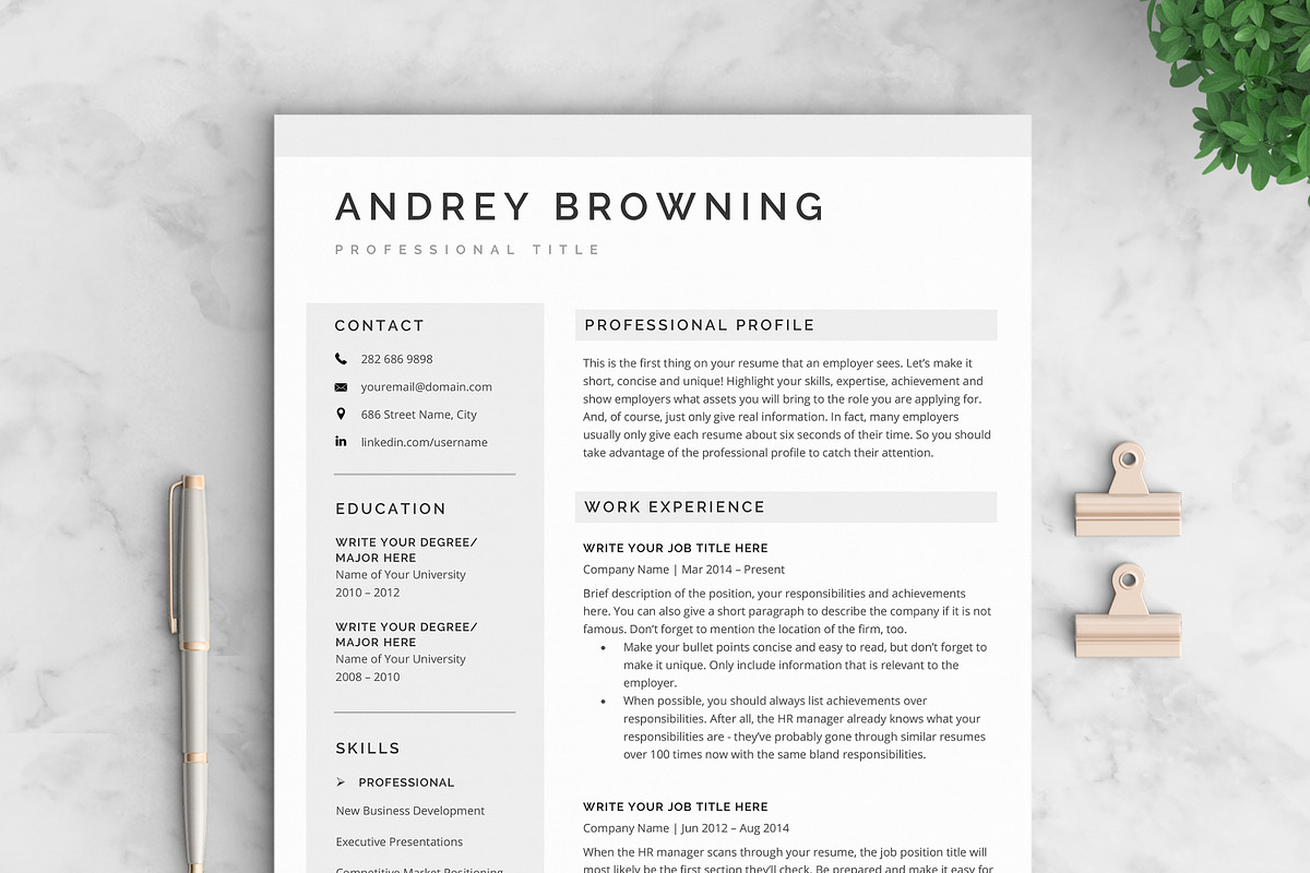 Resume/CV - The Andrey, a Resume Template by CreativeLandStudio (Photo 3 of 8)