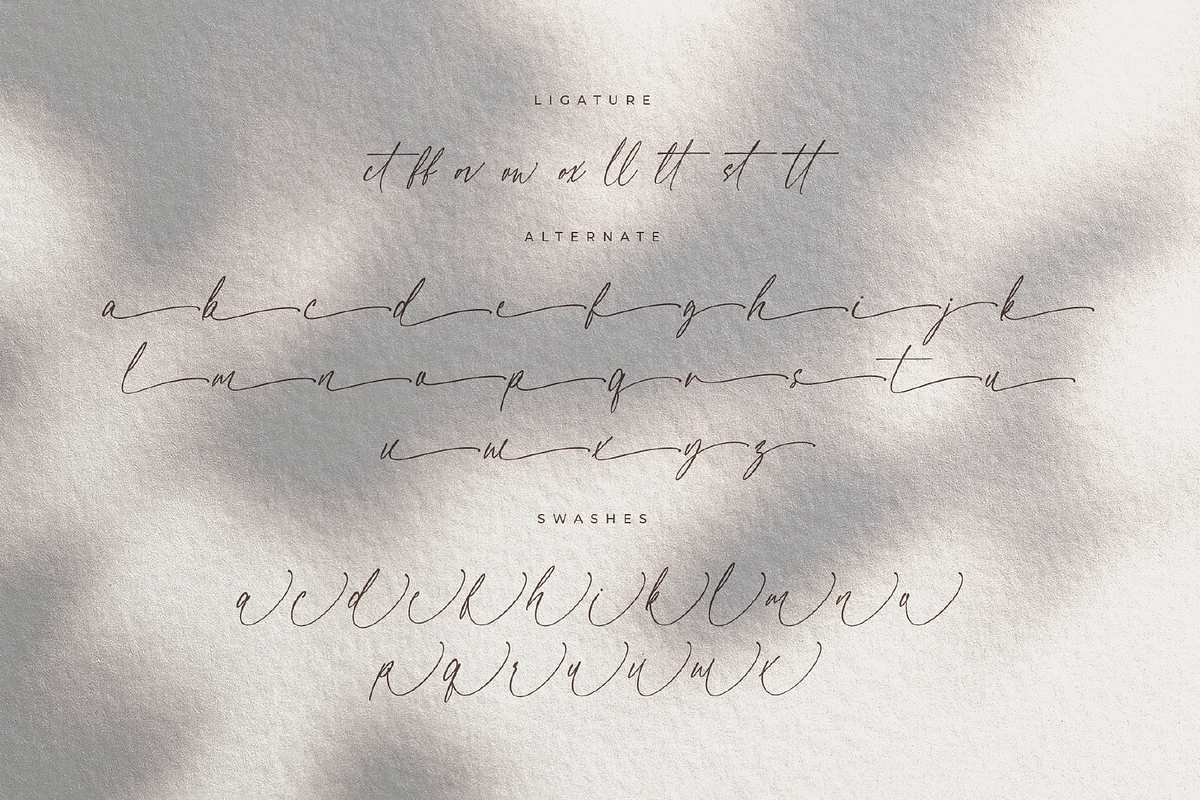 Blessed Signature Font, a Script Font by Pen Culture (Photo 11 of 11)