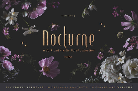 Nocturne - a dark floral collection, a Graphic by Anja Kaiser