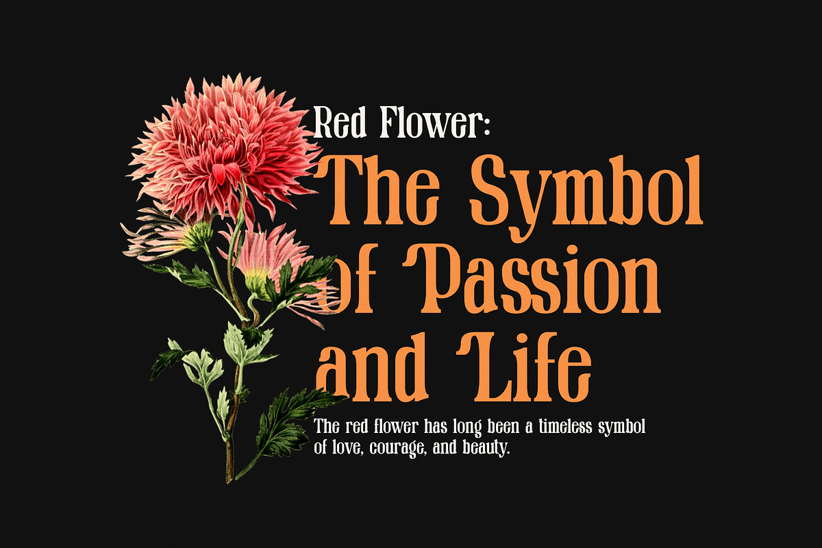 Qlimes modern retro serif font, a Serif Font by Perfectype (Photo 3 of 8)