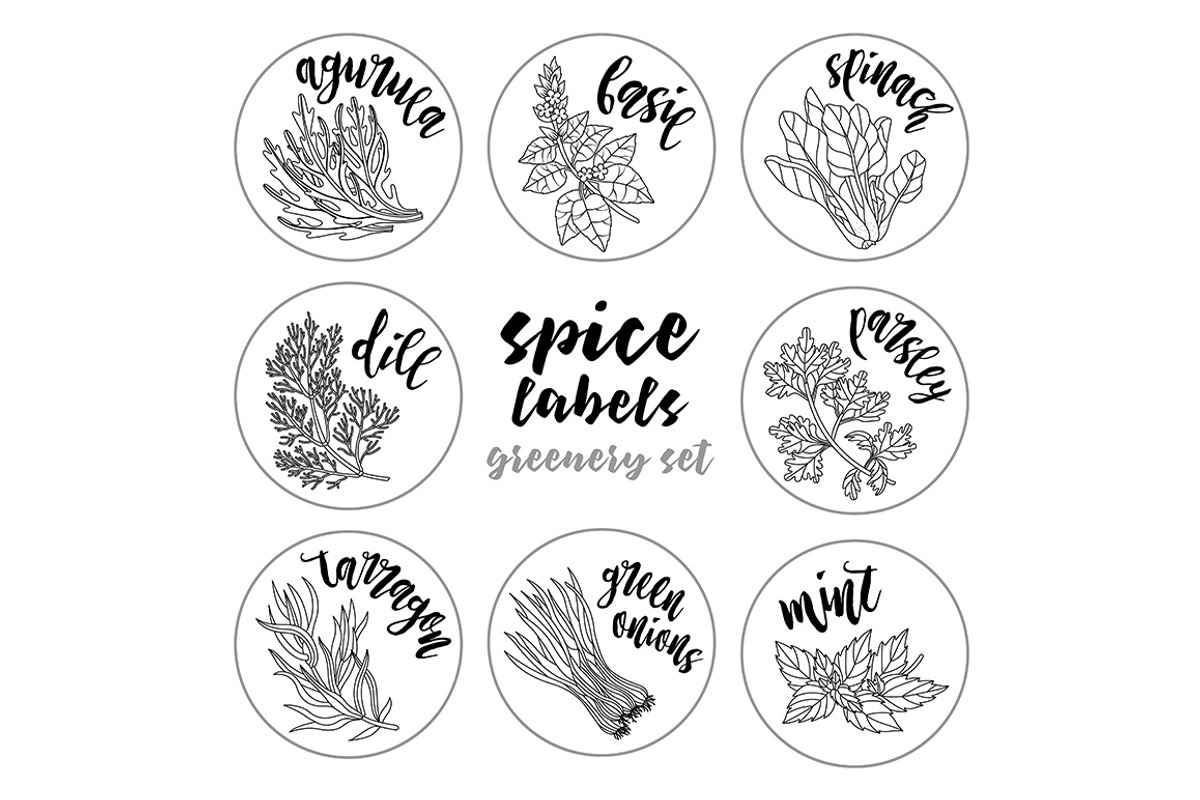 Spices and herbs labels set, a Decorative Illustration by Primula`s shop (Photo 10 of 12)
