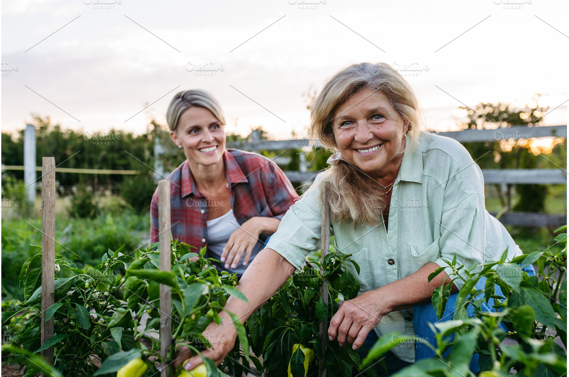 Mother and daughter harvesting fresh, a Nature Photo by HalfPoint