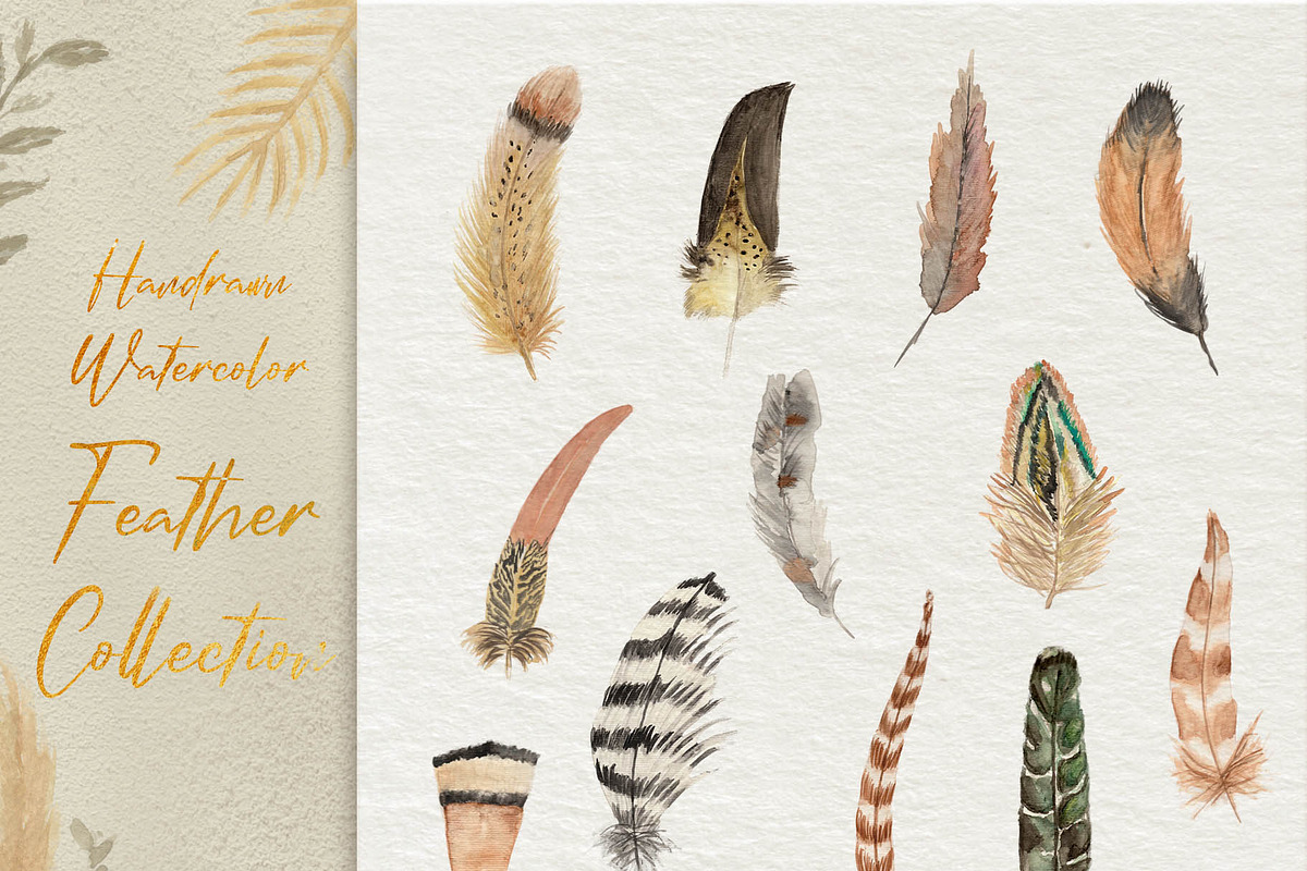 Watercolor Feathers Collection, a Decorative Illustration by GRANCI STUDIOS (Photo 3 of 12)