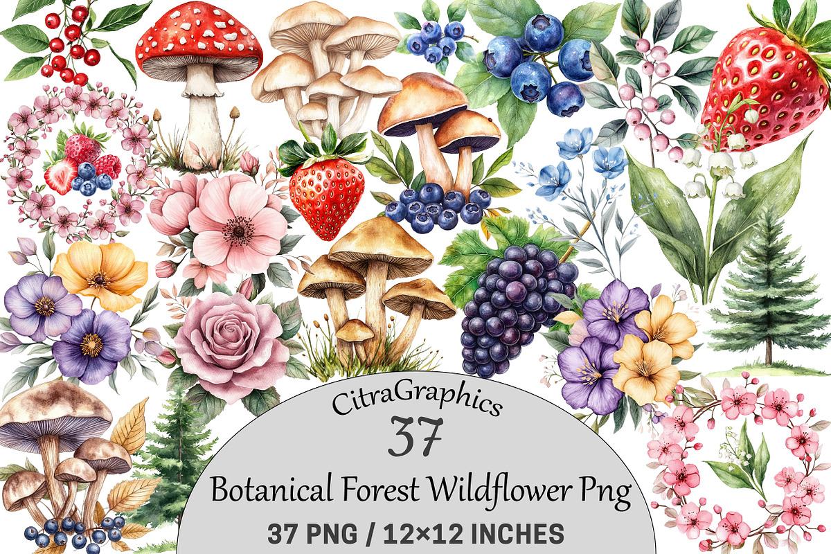 Botanical Forest Wildflower, an Illustration by CitraGraphics (Photo 1 of 5)